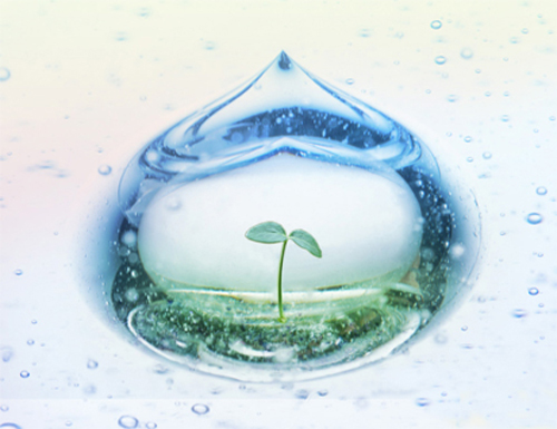 HƯỞNG ỨNG TUẦN LỄ QUỐC GIA NƯỚC SẠCH  VÀ VỆ SINH MÔI TRƯỜNG NĂM 2025
